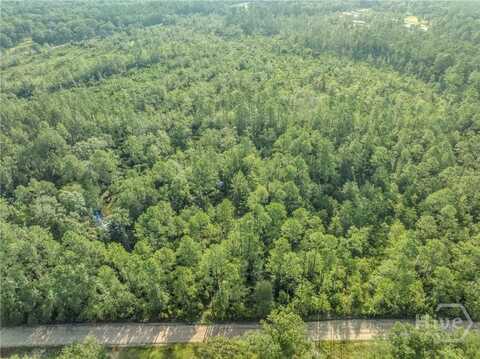 0 Rattler Run, Hortense, GA 31543