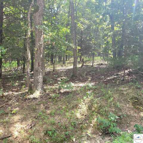 Lot 3901 & 3902 Beauregard, Edwards, MO 65326