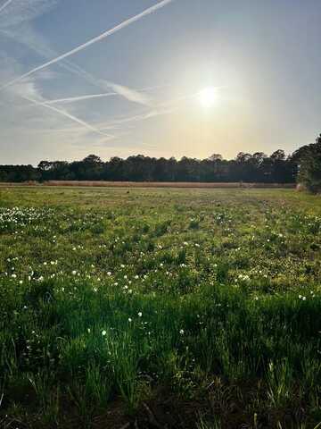 LOT 122 EVERGREEN ROAD, HARBORTON, VA 23389