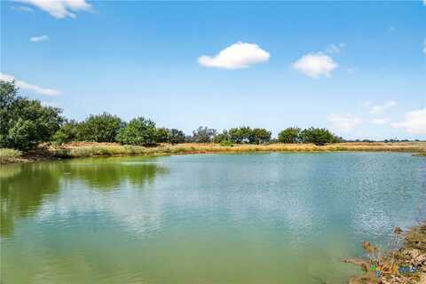 Tbd Hwy 80, Leesville, TX 78122
