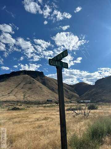Tbd Sage Hen Rd, Salmon, ID 83467