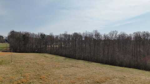 321 Ivie Trail, Columbus, NC 28722