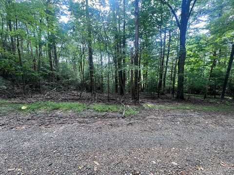 Tbd Powhatan Trail Lots 41,42,43, Fancy Gap, VA 24328