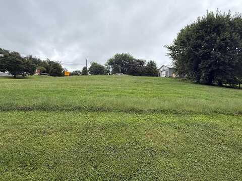 29203 Wayside Lane, Meadowview, VA 24361