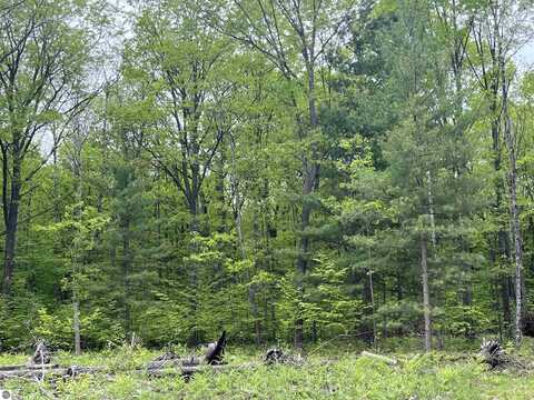 TBD Theron Road, Traverse City, MI 49685