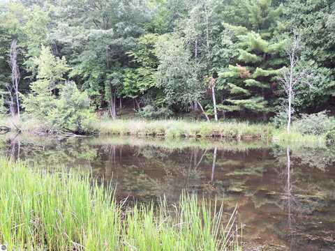 970 N Rolland Road, Isabella, MI 48893