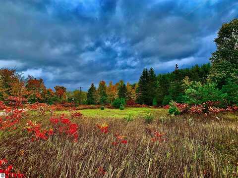 000 King Road, Benzonia, MI 49616