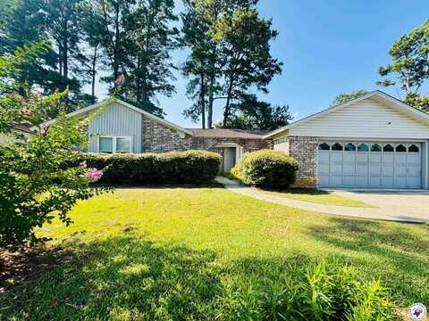 448 E Greenfield Dr, Wake Village, TX 75501
