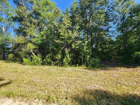 15189 NW LAKE MYSTIC CHURCH Road, Bristol, FL 32321