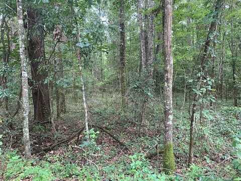 Tung Grove Road, Tallahassee, FL 32317