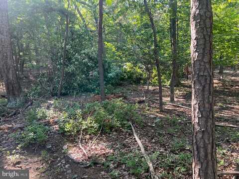 2608 JACKSON DRIVE, HAYMARKET, VA 20169
