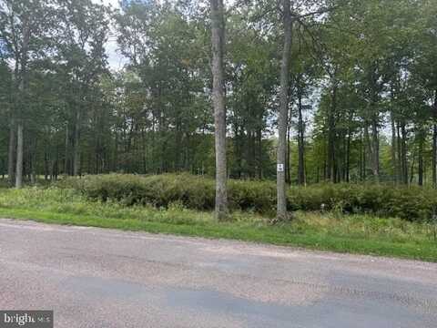 0 CROWS POINT ROAD, SWANTON, MD 21561