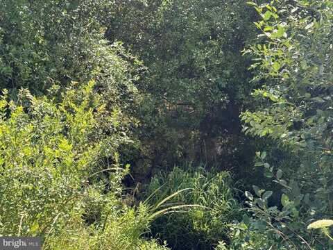 200 HIGH MEADOW ROAD, LOST RIVER, WV 26810