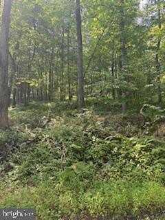 Lots 1,2,3 FIVE FORKS LANE, FAIRFIELD, PA 17320