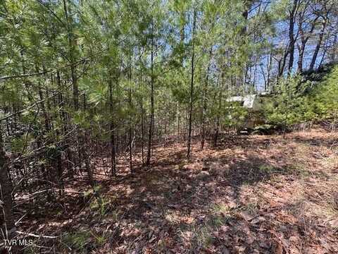 0 Buck Hollow Trail, Sugar Grove, VA 24375