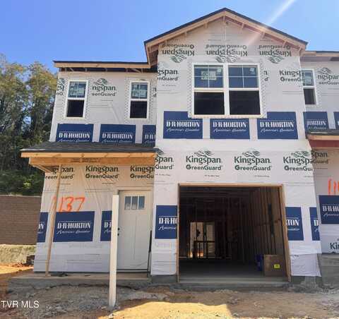 1137 Wenna Way, Kingsport, TN 37664