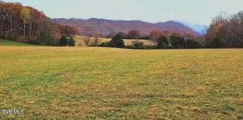 4695 Cedar Creek Road, Greeneville, TN 37743