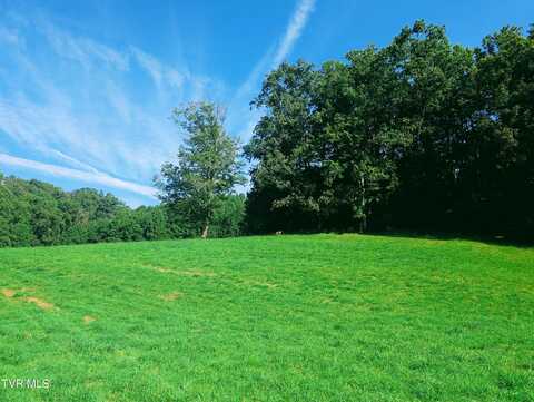Tbd Old Vanover Farm Road, Clintwood, VA 24228