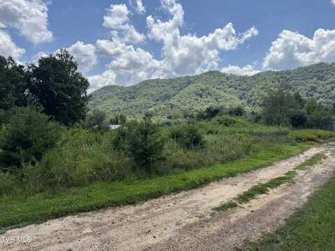 118 Sanctuary Drive, Hiltons, VA 24258