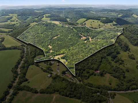 Temperance Circle, HICKMAN, TN 38567