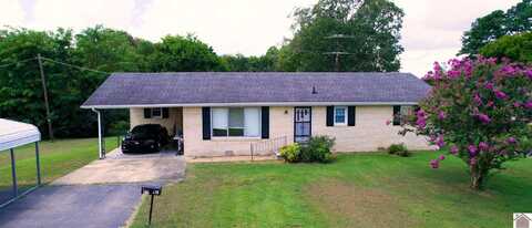 479 Union Ridge Rd, Benton, KY 42025