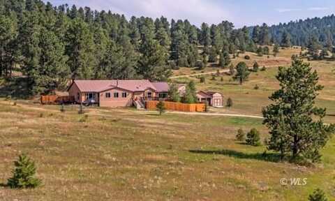 105 Rufus Run, Westcliffe, CO 81252