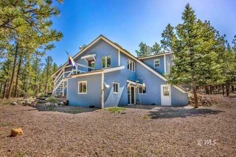 453 Black Fawn Ln, Westcliffe, CO 81252