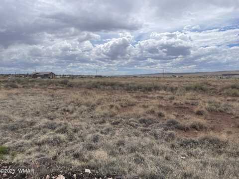 29 County Road 6010, Saint Johns, AZ 85936