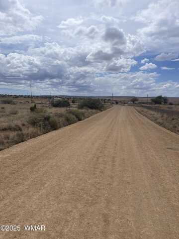 19 County Road 6012, Saint Johns, AZ 85936
