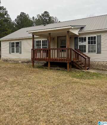 Appaloosa, HAYDEN, AL 35079