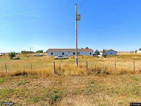 Palomino, WELLINGTON, CO 80549