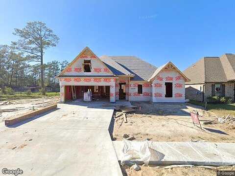 Mandavilla, LUMBERTON, TX 77657