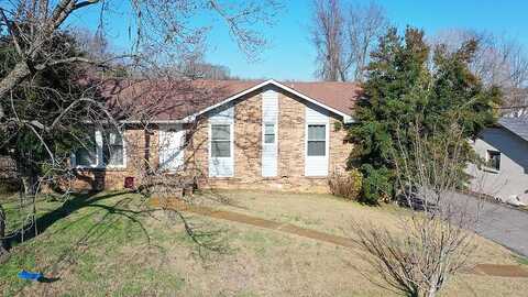 Rainer, OLD HICKORY, TN 37138