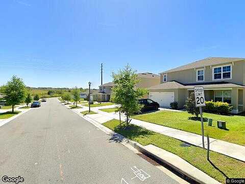 Black Walnut, CLERMONT, FL 34715