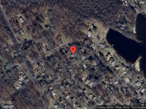 Rabbit, COVENTRY, CT 06238