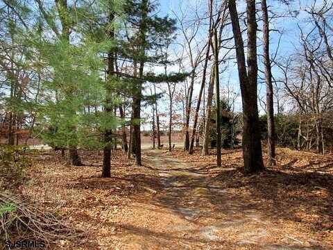 Moss Mill, EGG HARBOR CITY, NJ 08215