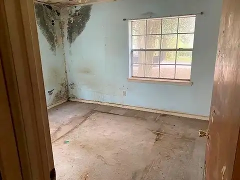 Holly, MOBILE, AL 36608