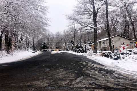 Jasmine, TOBYHANNA, PA 18466