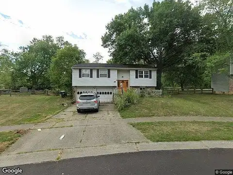 Blackberry, BATAVIA, OH 45103
