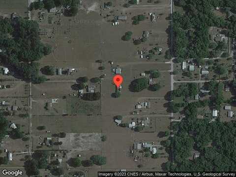 Drum, ZEPHYRHILLS, FL 33541