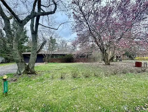 Meadow, YELLOW SPRINGS, OH 45387