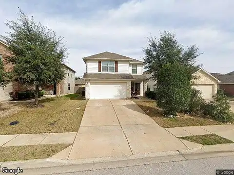 Housefinch, LEANDER, TX 78641