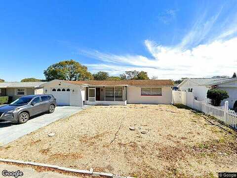 Finch, HOLIDAY, FL 34690