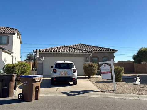Zampino, SAN TAN VALLEY, AZ 85140
