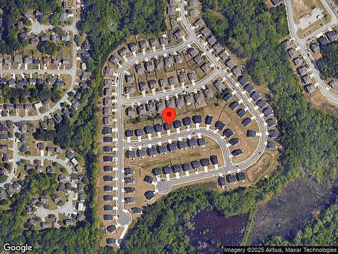 Loblolly Pine, DECATUR, GA 30034
