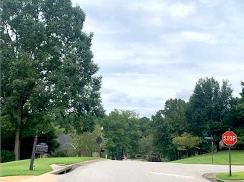 Baneberry, HOOVER, AL 35244