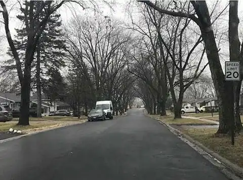 Linden, HANOVER PARK, IL 60133
