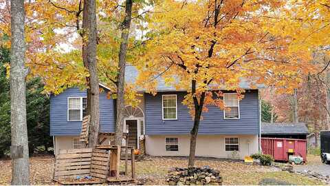 Graywolf, WINCHESTER, VA 22602