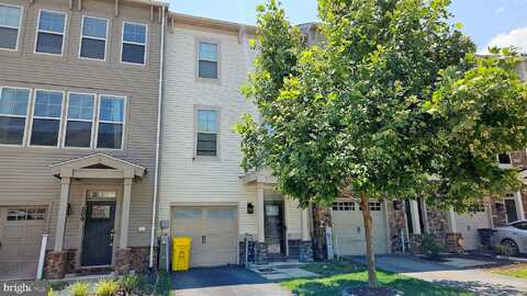 Tanner, GLEN BURNIE, MD 21060