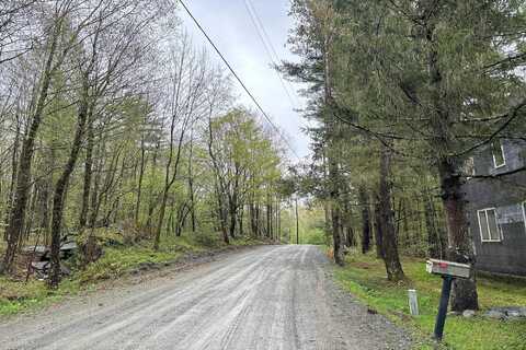 Black River, STEPHENTOWN, NY 12169